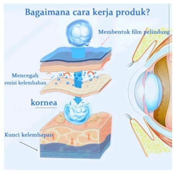 YEHUANGSU OBAT MATA TETES ORIGINAL MENGATASI MATA GATAL MATA MERAH MATA BERAIR MATA MINUS PENGLIHATAN BURAM 13ML - Gambar 3
